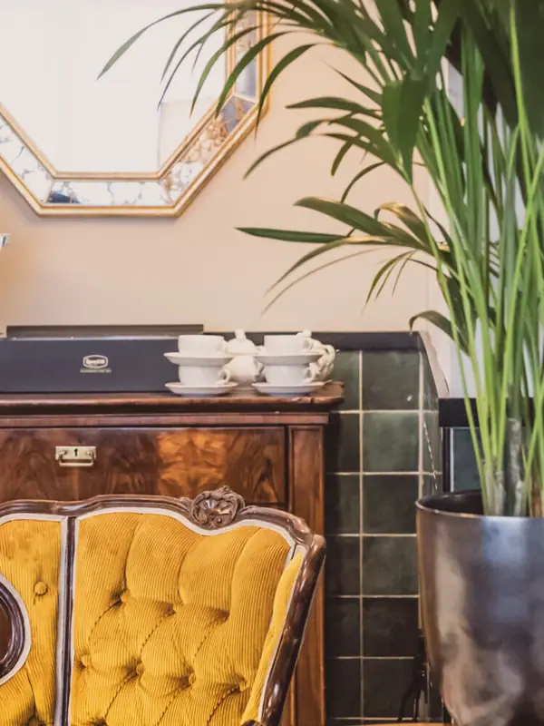 Lounge Een kamer met een spiegel en een potplant.