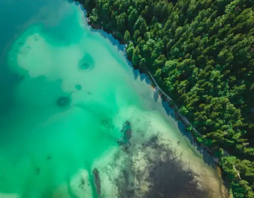 Een waterpartij met bomen op de voorgrond.