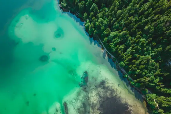 Een waterlichaam met bomen.