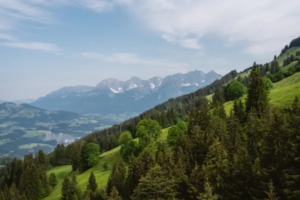 Het groene bergpanorama van de Kitzbüheler Alpen in de zomer onder een blauwe hemel.