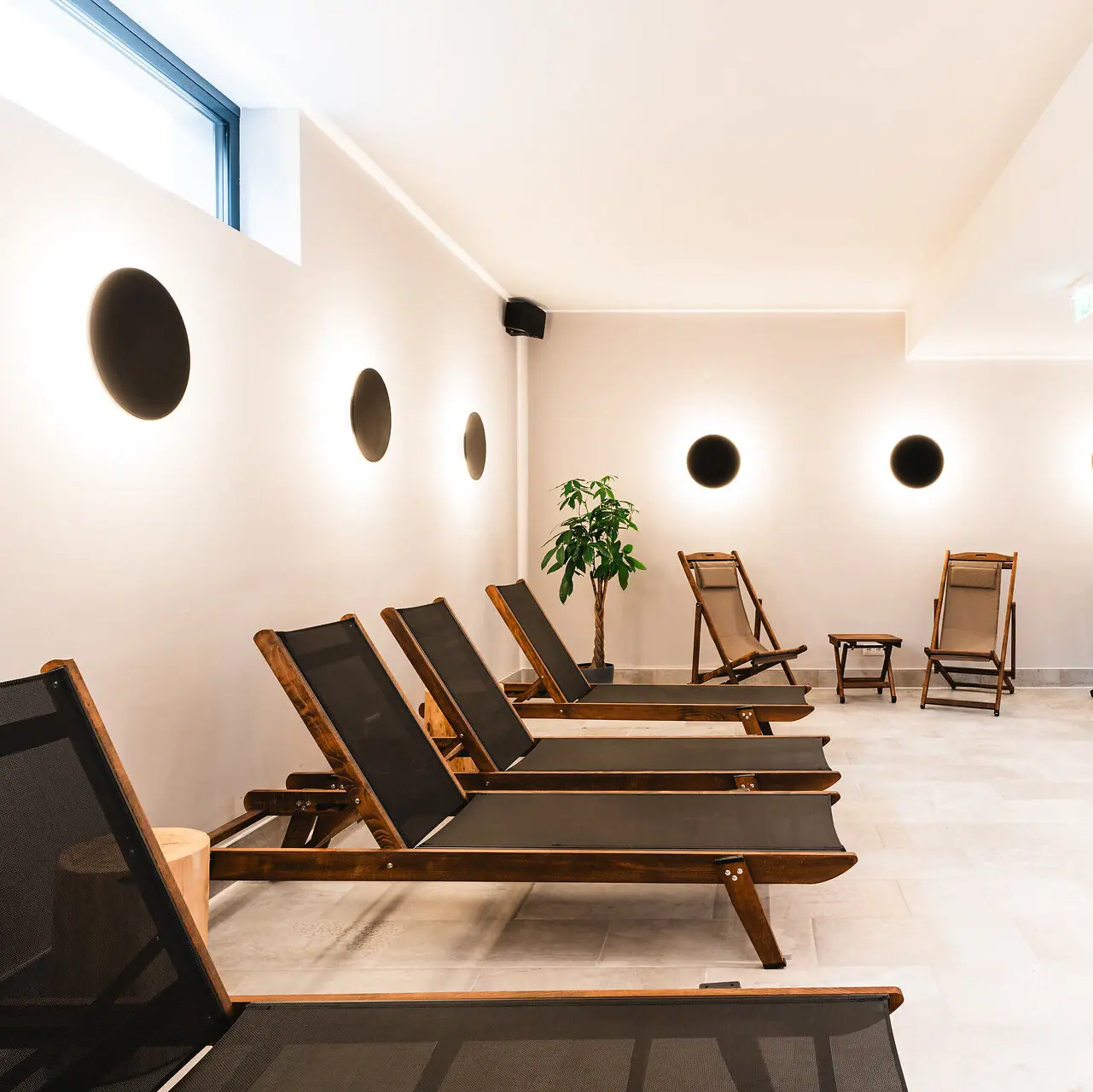 Een kamer met stoelen en een plant.