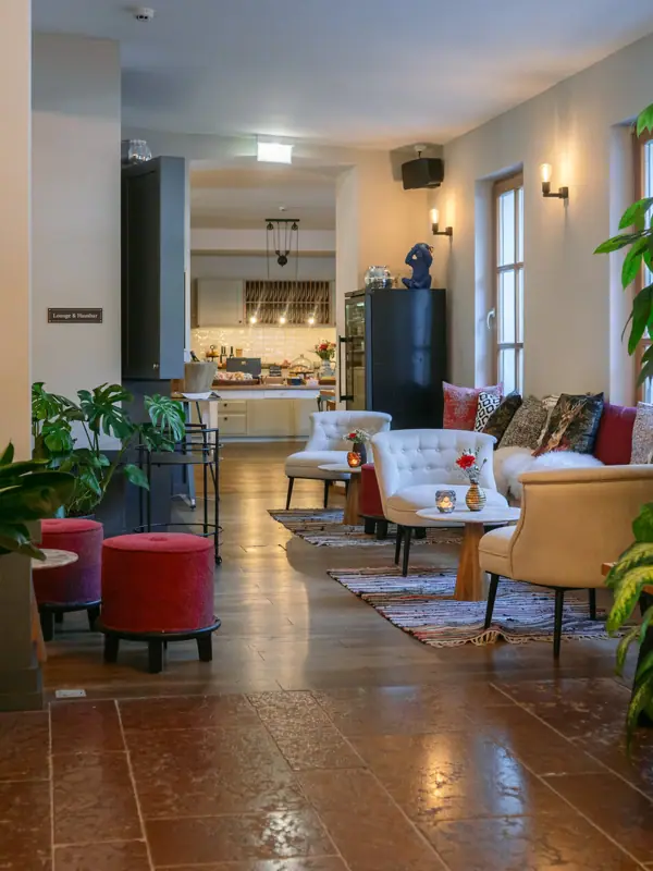 Een kamer met een grote plant en stoelen.