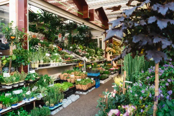 Een winkel met planten en bloemen.