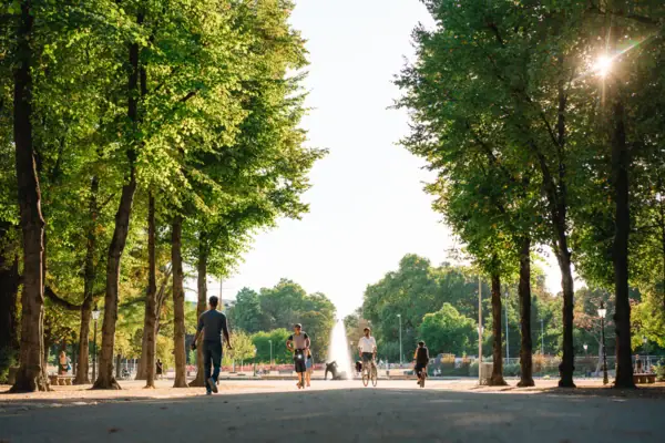Düsseldorf Een groep mensen fietst over een pad met bomen.