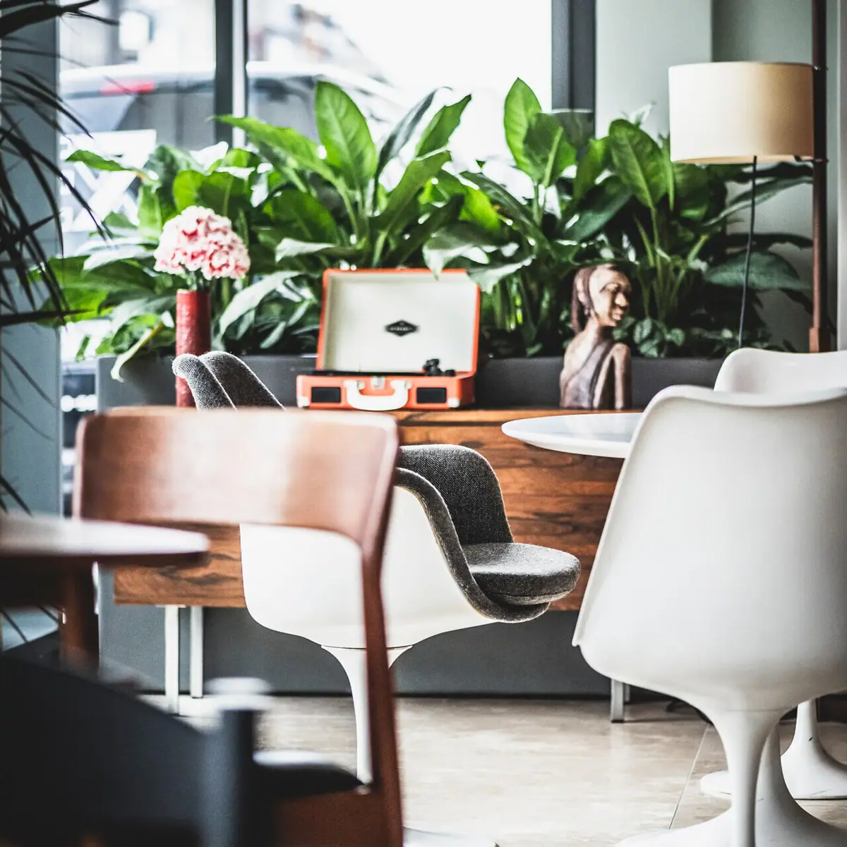 Een kamer met stoelen, een tafel en een plant.