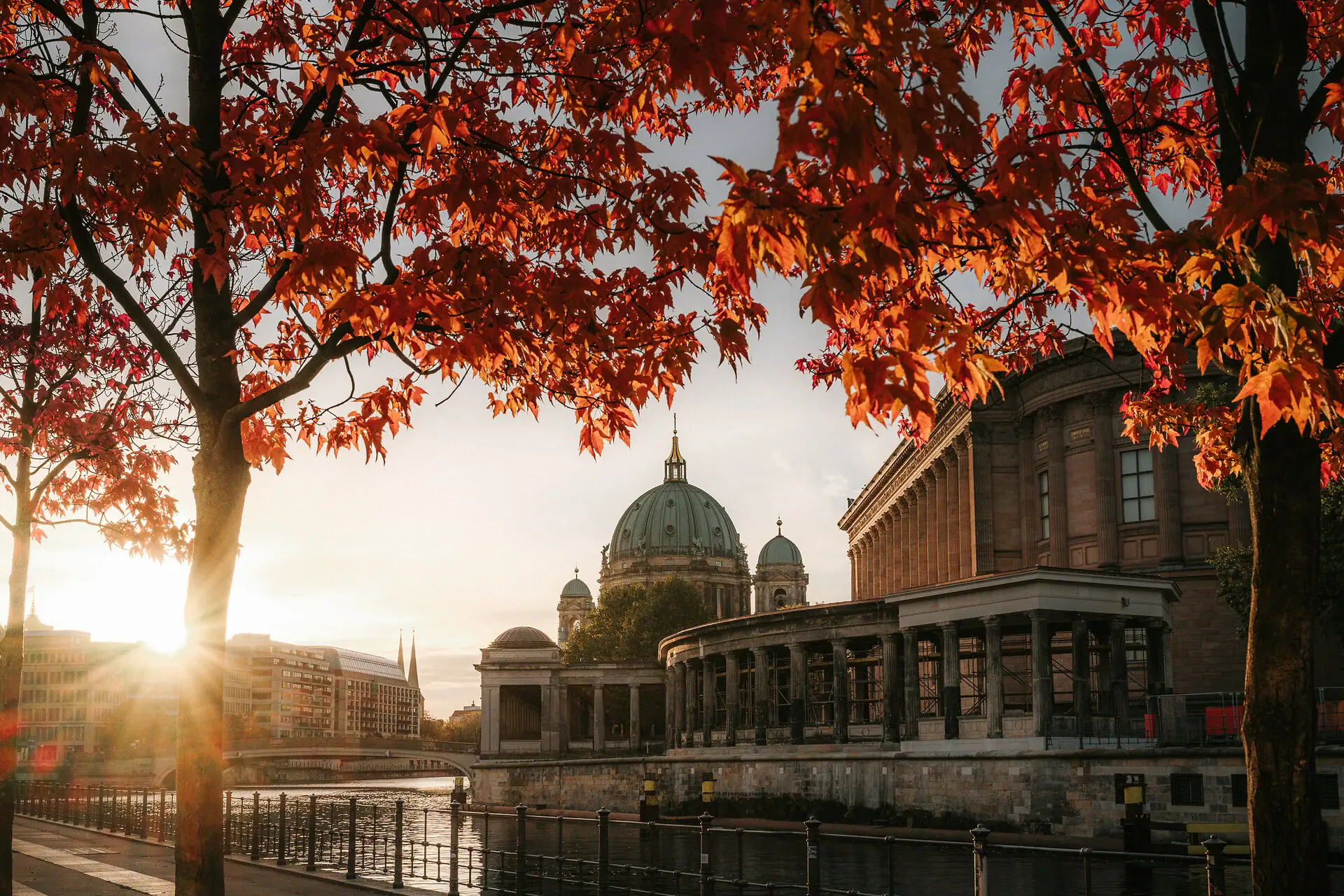 HENRI Berlijn Museumeiland Een boom met rode bladeren naast een gebouw met een koepel.