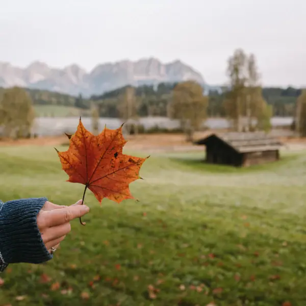 Herfst in Kitzbühel