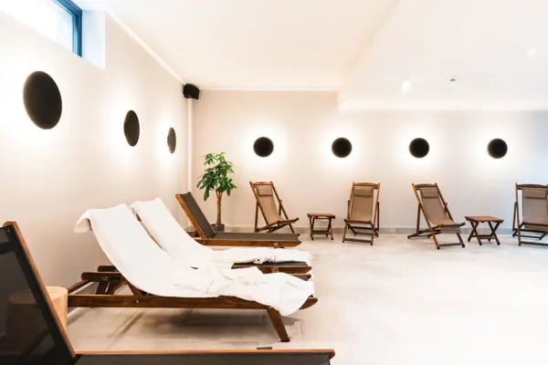 Een kamer met stoelen en een plant.