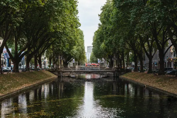 Een rivier met bomen en een brug eroverheen.