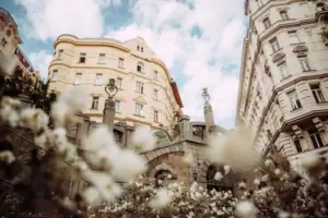 Een gebouw met witte bloemen op de voorgrond.