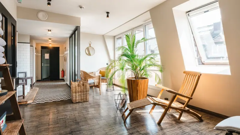 Wellnessruimte met rieten stoelen, ligstoel en palmboom